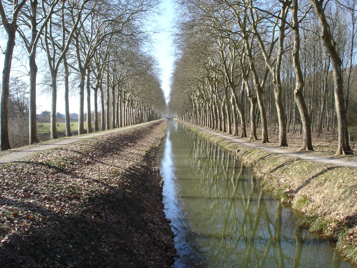 Sauldre Canal and tree-lined bank in the Blancafort countryside
