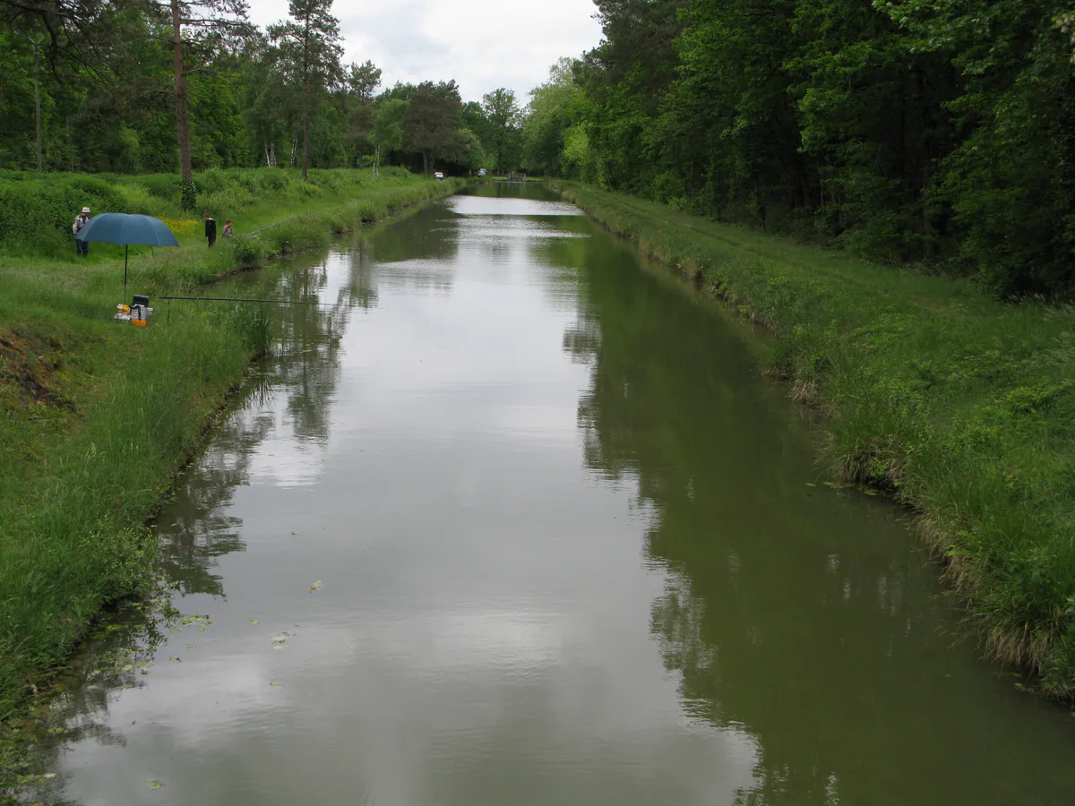 Canal de la Sauldre entre des rives boisées à Clémont