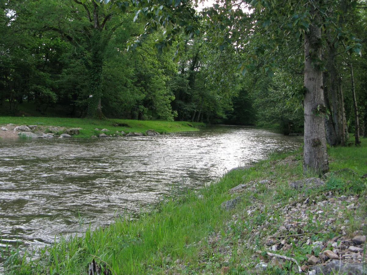 Tree-lined Petite Sauldre river in the countryside near Aubigny
